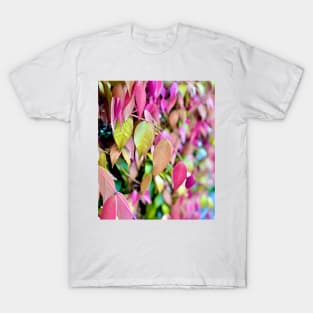 Autumn/Fall colours II T-Shirt